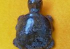 D006 A Brown Jade Turtle Pendant