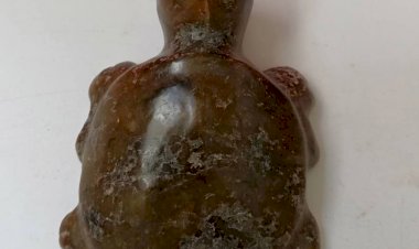 D006西周玉龜(褐)